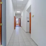 Grassalkovich Appartement *